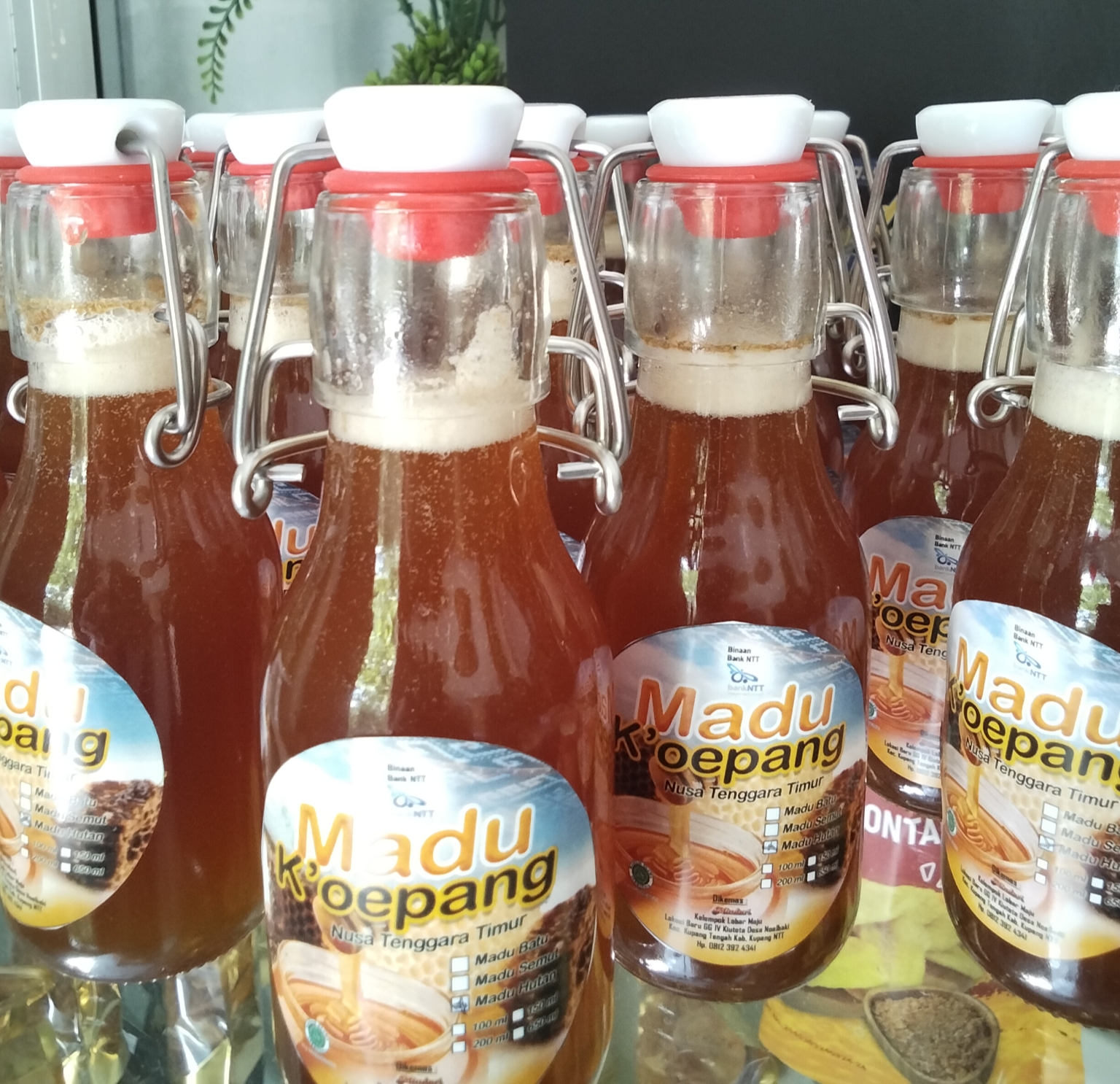 Madu hutan "k'oepang