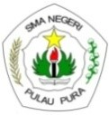 SMA NEGERI PULAU PURA